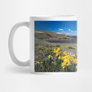 Summer in the Mountains Mug